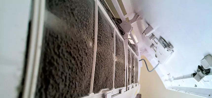 Preventive Air Duct Bacteria Removal in Ewa Beach