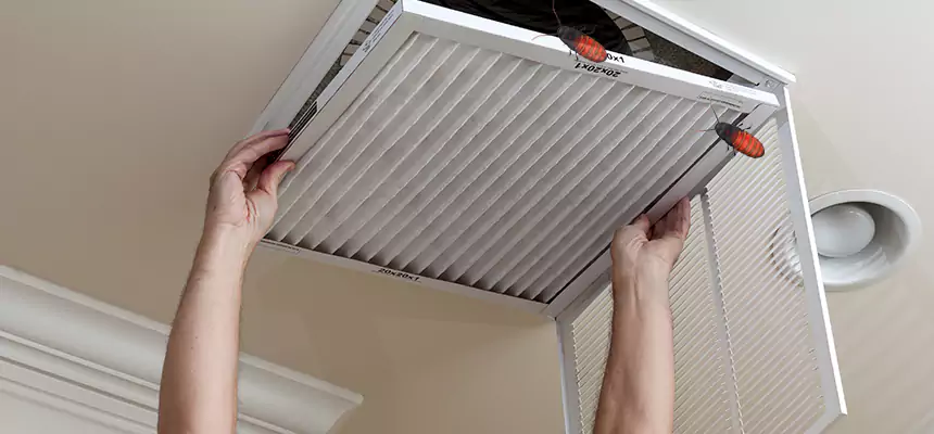 Preventive Cockroach-Proofing for Ducts in Ewa Beach