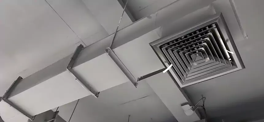 Our Pest Removal From Ducts Services in Ewa Beach, HI