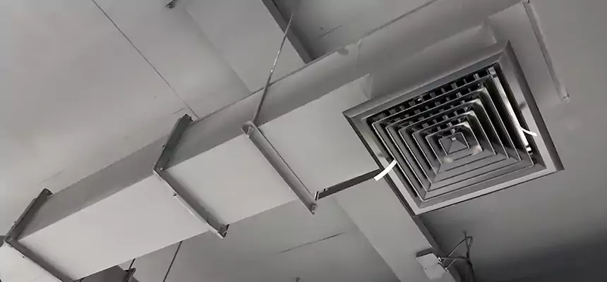 Our Rodent Droppings In Vents Services in Ewa Beach, HI