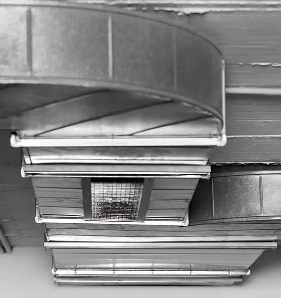 Professional Air Duct Pest Removal in Ewa Beach, HI