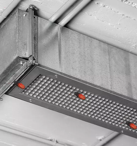 Affordable Insect Removal from Air Ducts in Ewa Beach, HI