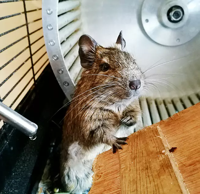 Why Homeowners & Businesses Trust Us Ewa Beach, HI