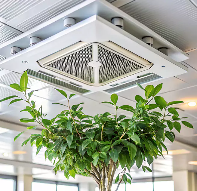 Why Homeowners & Businesses Trust Us in Ewa Beach, HI