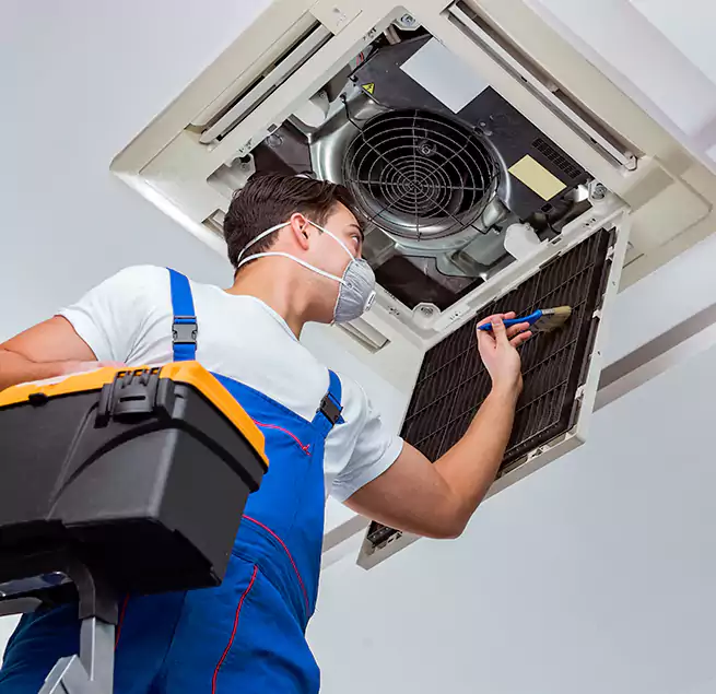 Why Homeowners & Businesses Trust Us in Ewa Beach, HI?